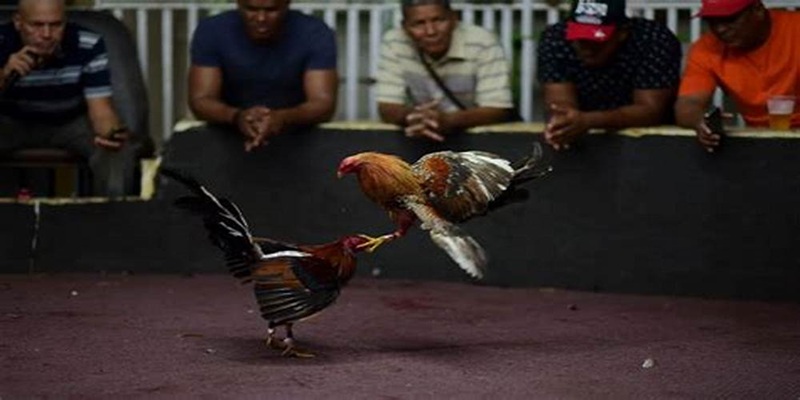 3 lợi ích rõ ràng