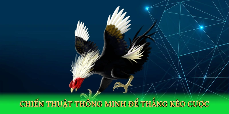 Chiến thuật thông minh để thắng kèo cược