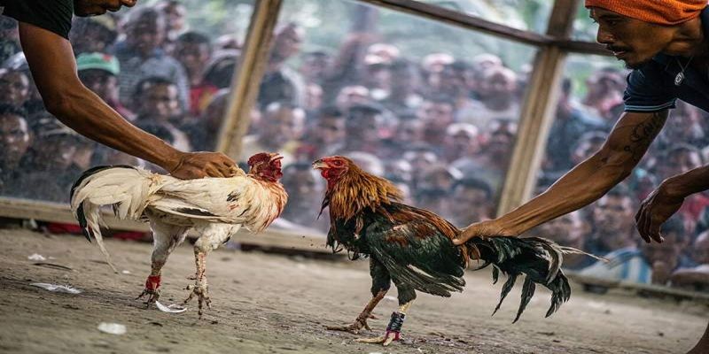 Dễ dàng để trải nghiệm