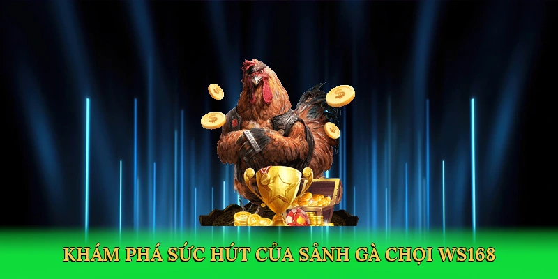 Khám phá sức hút của sảnh gà chọi ws168