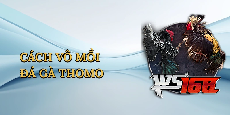 cach-vo-moi-da-ga-thomo-1