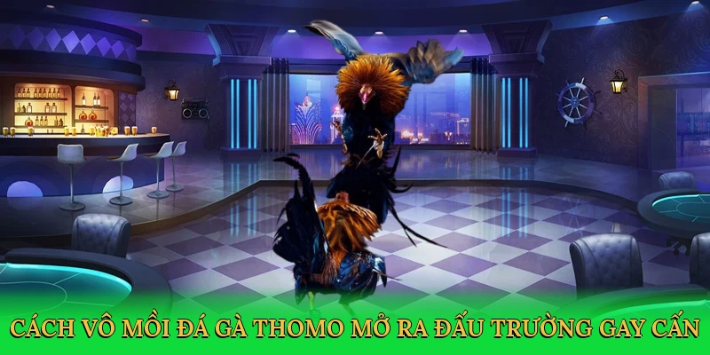 cach-vo-moi-da-ga-thomo-mo-ra-dau-truong-gay-can-2
