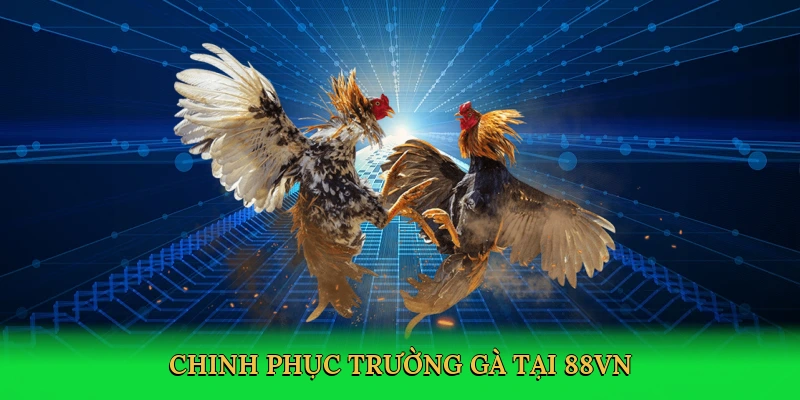 chinh-phuc-truong-ga-tai-88vn-3