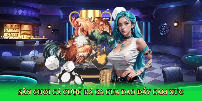 san-choi-ca-cuoc-da-ga-cua-dao-day-cam-xuc-2