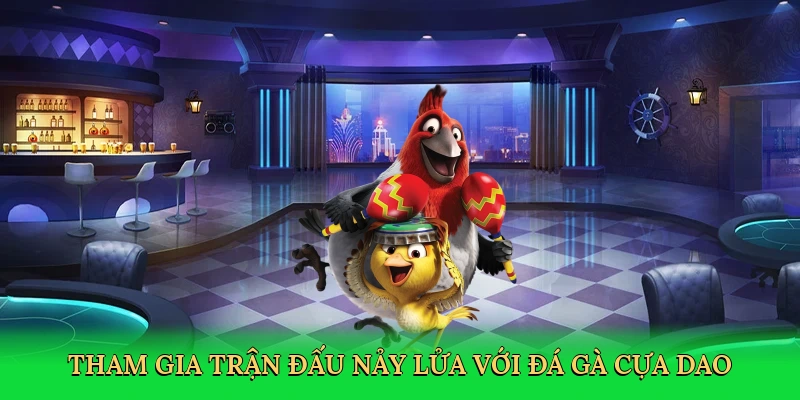 tham-gia-tran-dau-nay-lua-voi-da-ga-cua-dao-2