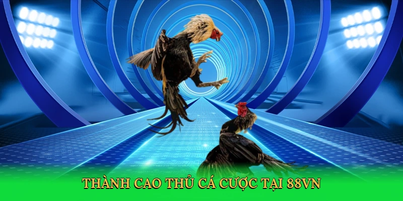 thanh-cao-thu-ca-cuoc-tai-88vn-4