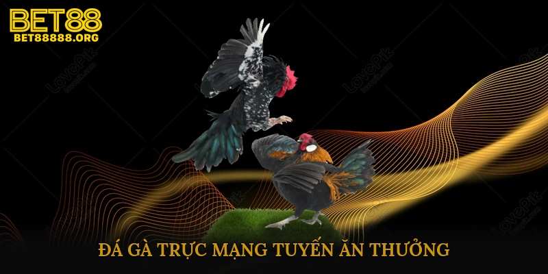 đá gà mạng trực tuyến ăn thưởng