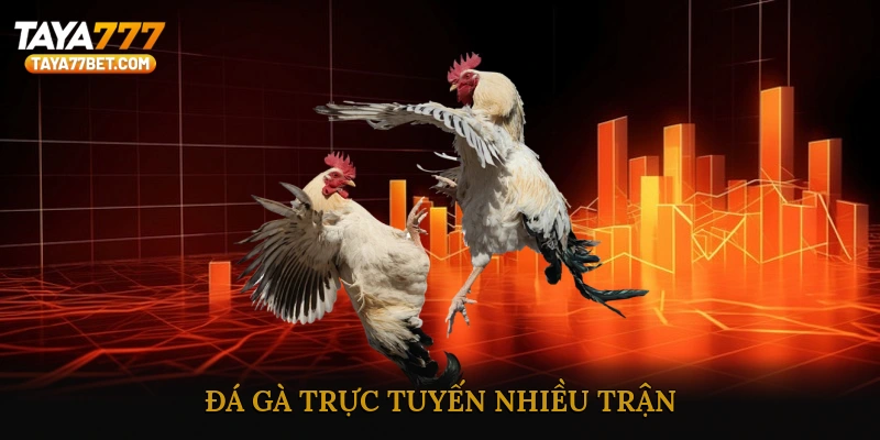 Đá Gà Trực Tuyến Nhiều Trận
