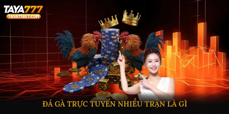 Đá Gà Trực Tuyến Nhiều Trận Là Gì?