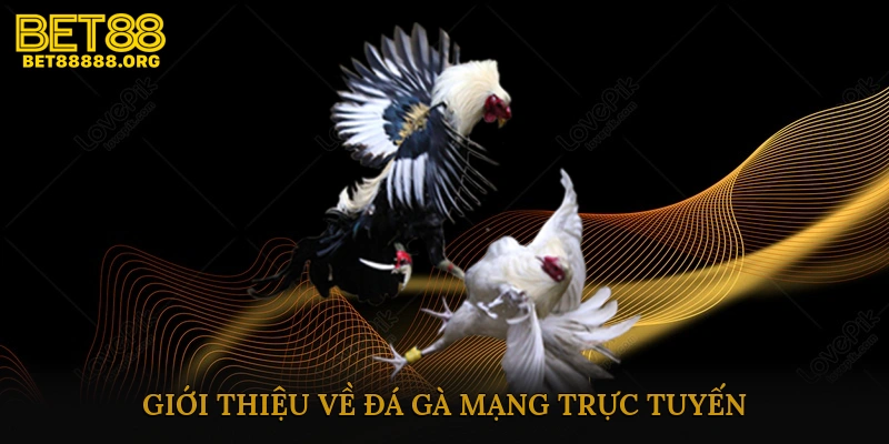 Giới thiệu về đá gà mạng trực tuyến