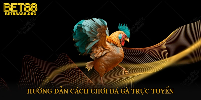Hướng dẫn cách chơi đá gà trực tuyến