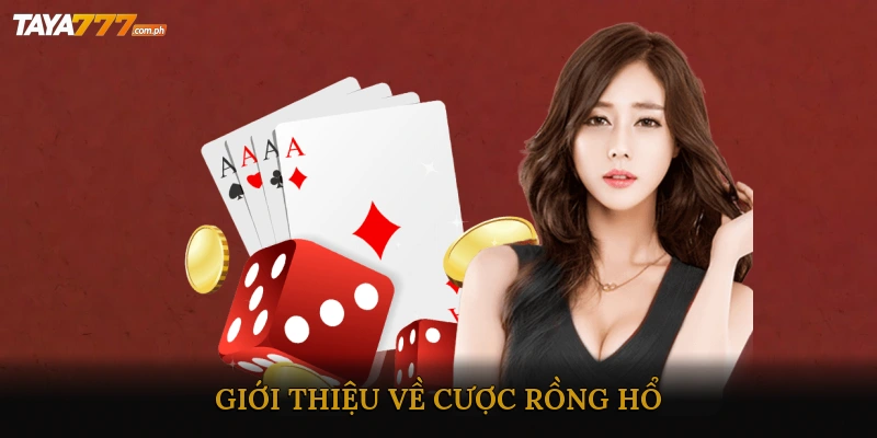 Giới thiệu về cược Rồng Hổ