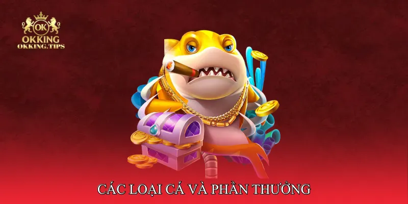 Các loại cá và phần thưởng trong hải vực kim cương