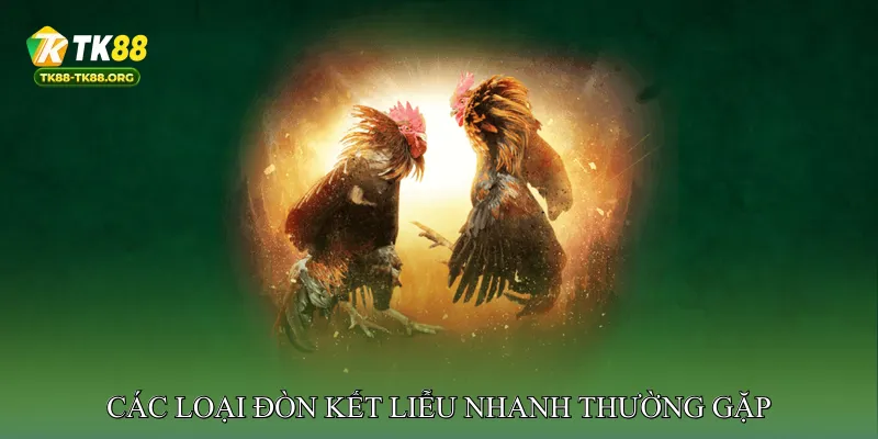 Các Loại Đòn Kết Liễu Nhanh Thường Gặp